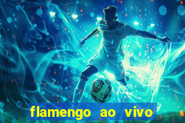 flamengo ao vivo hd play